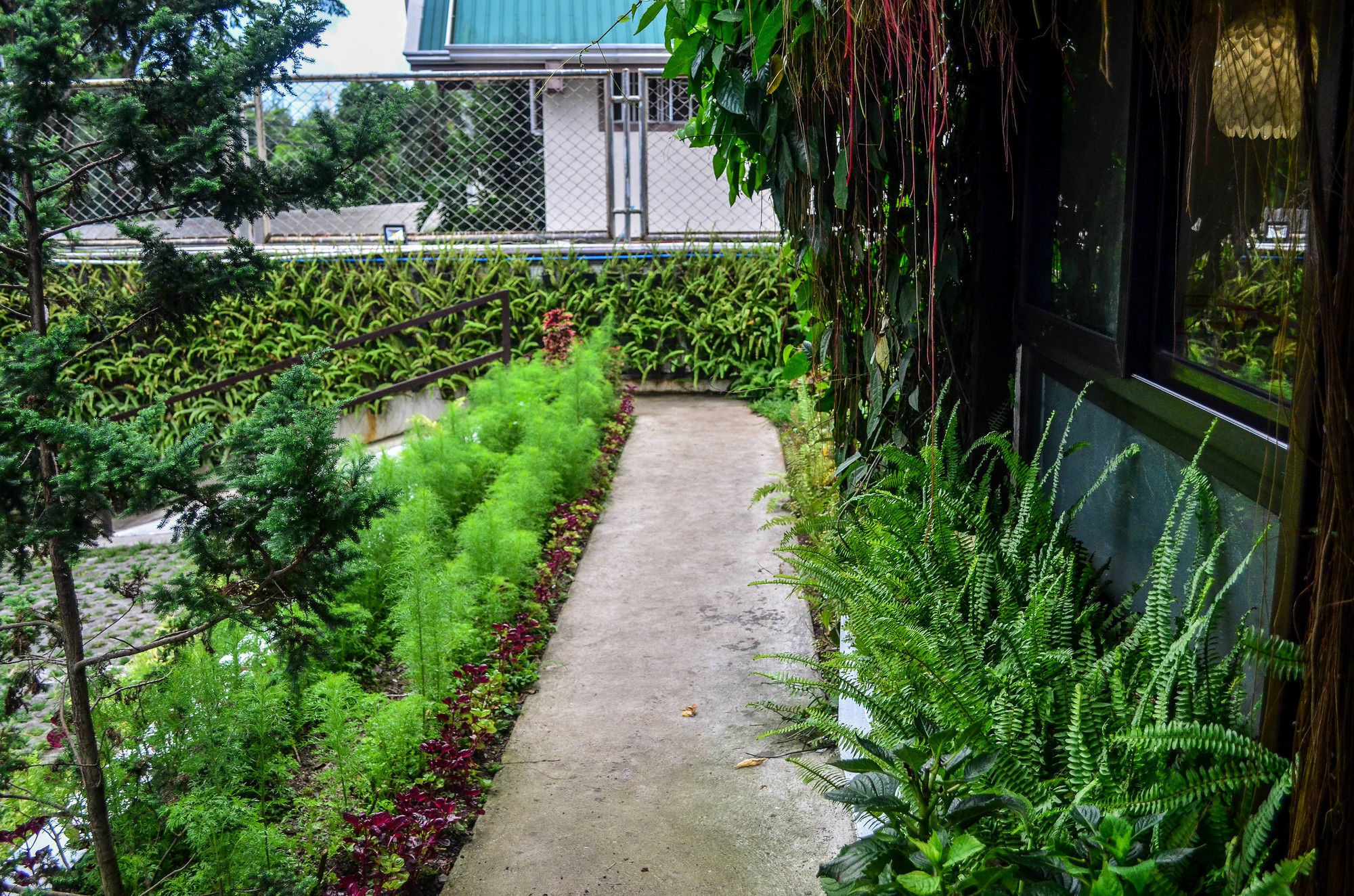 Cabins By Eco Hotel Tagaytay Tagaytay City Exterior photo